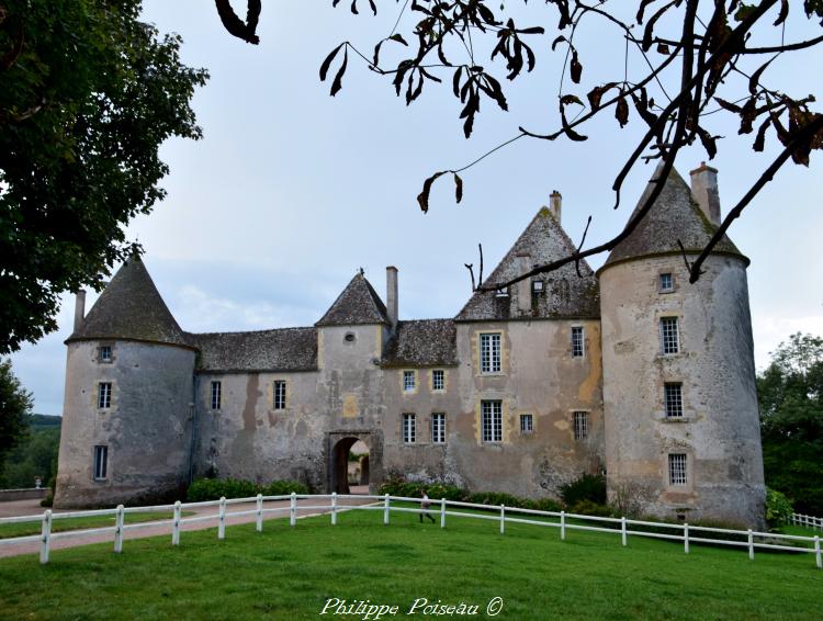 Chateau de Chitry les Mines