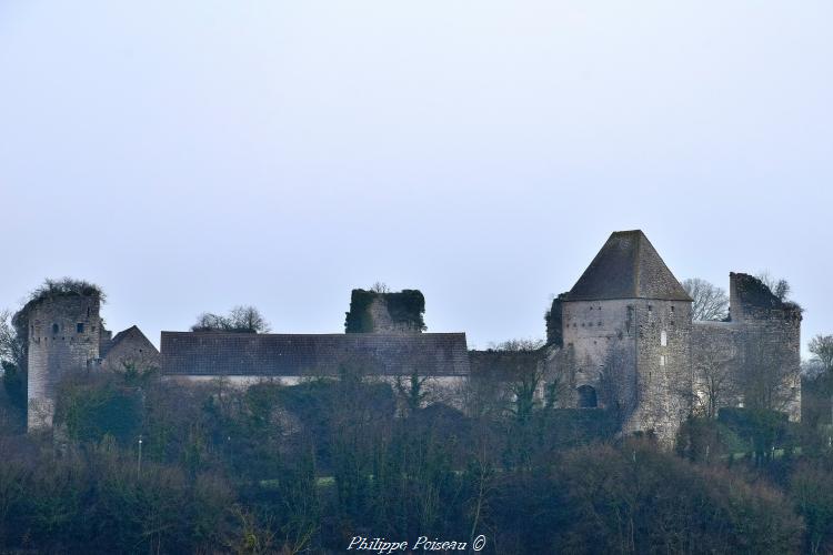 Château de Rosemont un remarquable fort de Luthenay-Uxeloup