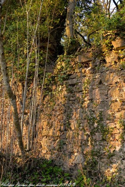 Ruines du château