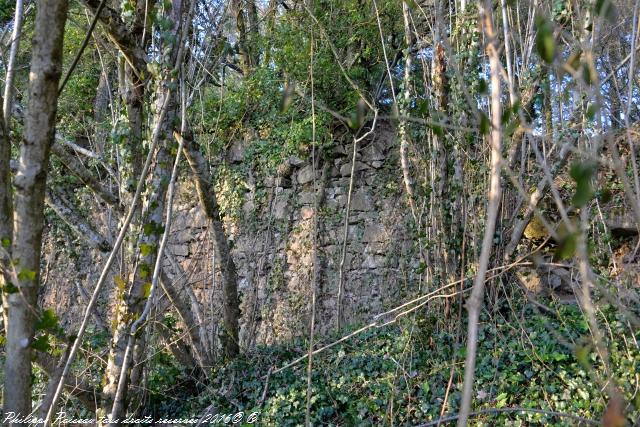 Ruines du château