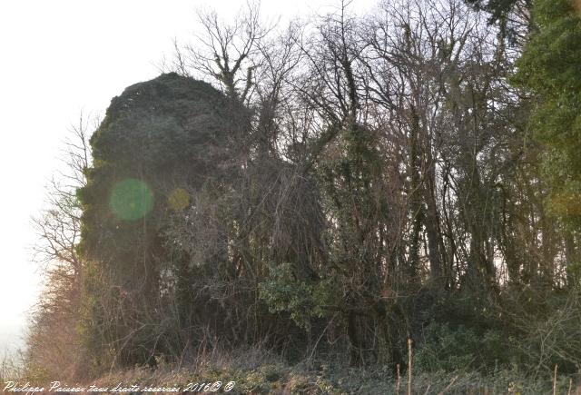 Ruines du château de Saint Péreuse un beau médiéval