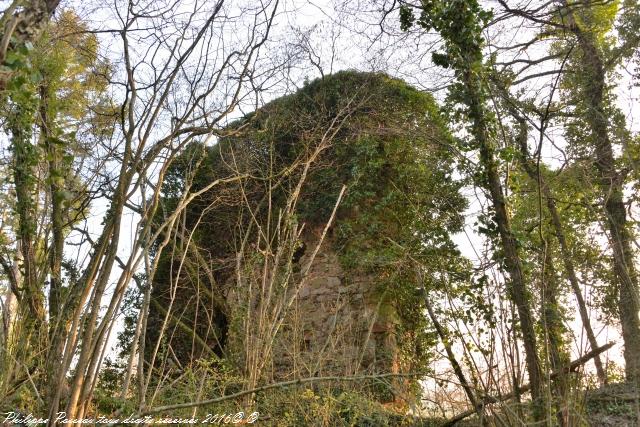 Ruines du château