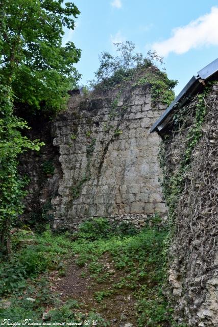 Porte de l'étang de Saint Vérain