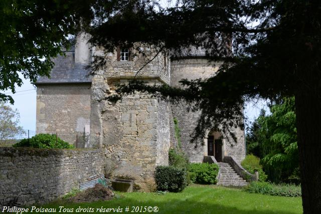 Château de Franay les Chanoines