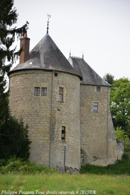 Château de Franay les Chanoines