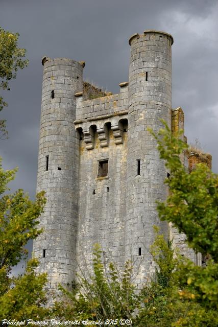 Château de "Passy les Tours"