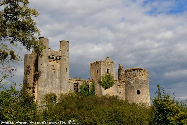 Château de "Passy les Tours"