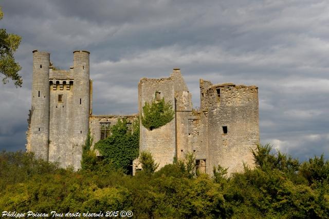 Château de Passy les Tours un remarquable Fort