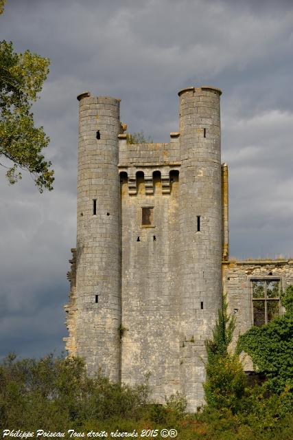 Château de "Passy les Tours"