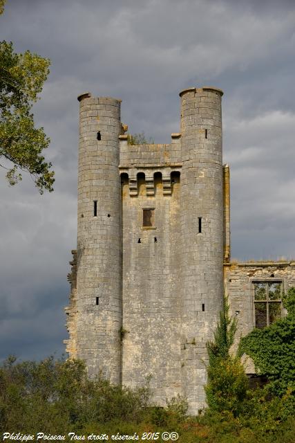 chateau passy les tours