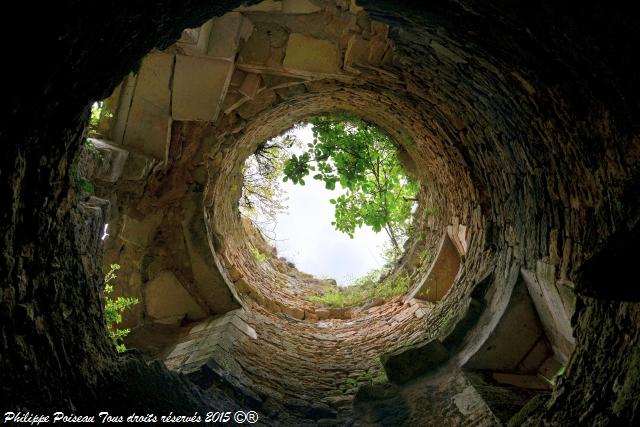 chateau passy les tours