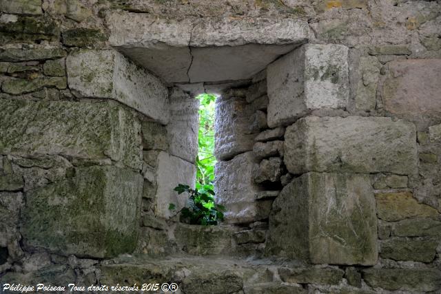 chateau passy les tours