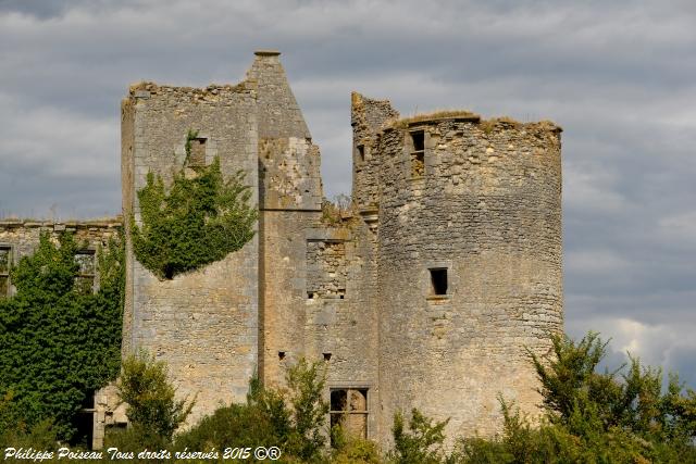 chateau passy les tours