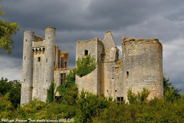 Château de "Passy les Tours"