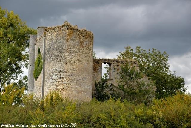 chateau passy les tours