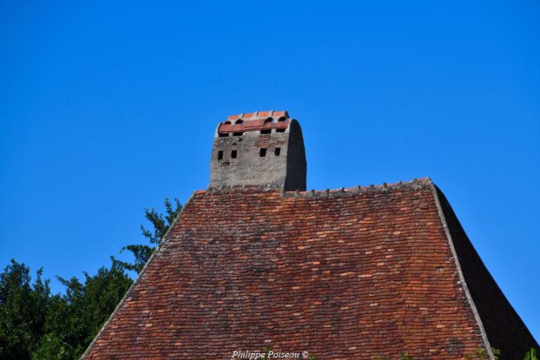 cheminée sarrasine du château de Corvol-l'Orguellieux