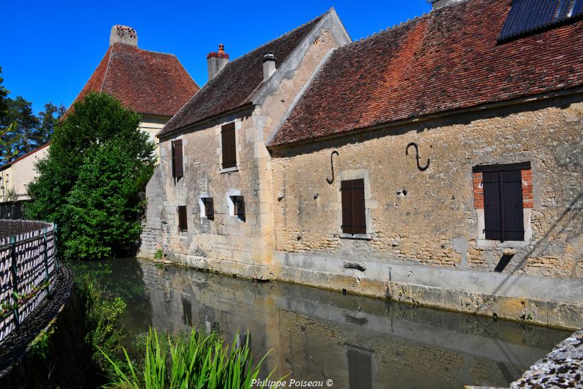 cheminée sarrasine du château de Corvol-l'Orguellieux