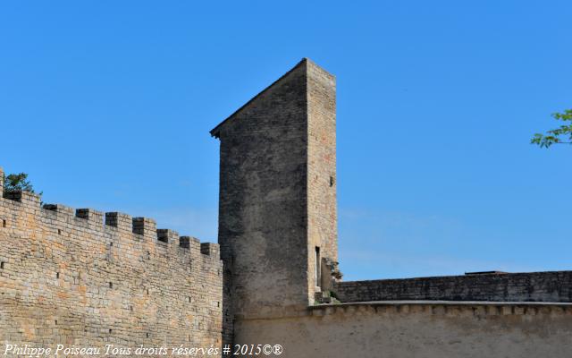 Tour de Buttevant de la magnifique Abbaye de Cluny