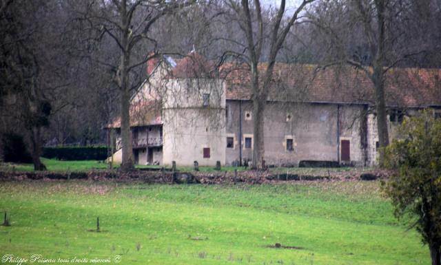 Colombier de Luanges Nièvre Passion