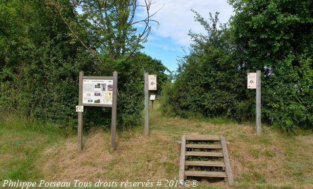 Coteau du Chaumois un beau sentier de la découverte