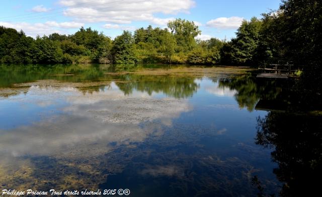 Étang de Baverolles un remarquable Plan d’eau