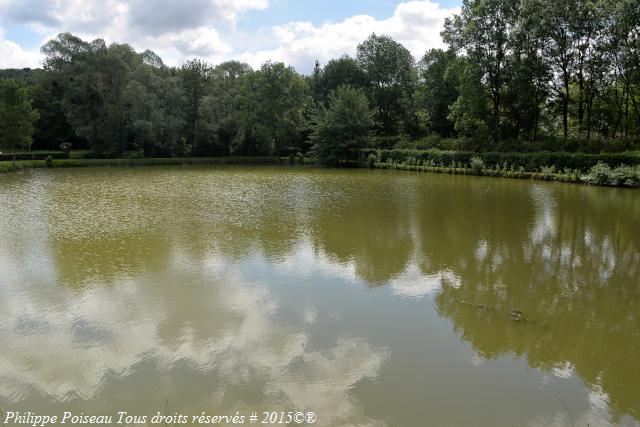 Étang du Margat un plan d’eau de Parigny