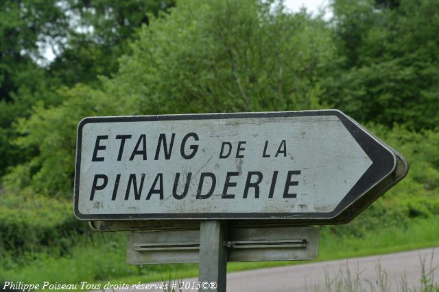 Étang de Saint Aubin les Forges