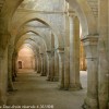 Abbaye de Fontenay Philippe Poiseau