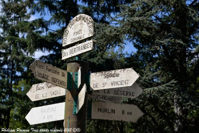 Forêt des Bertranges un rond point de la remarquable réserve