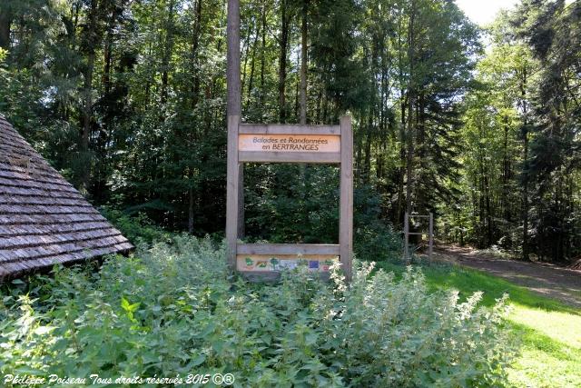 Forêt des Bertranges