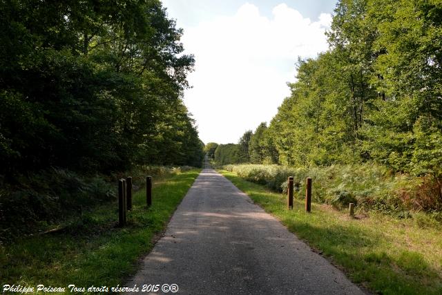Rond point de "La réserve"