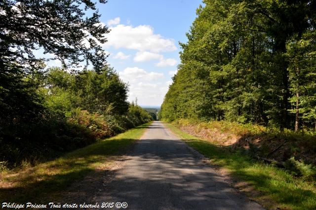 Forêt des Bertranges