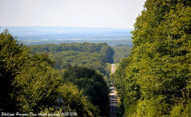 Rond point de "La réserve"