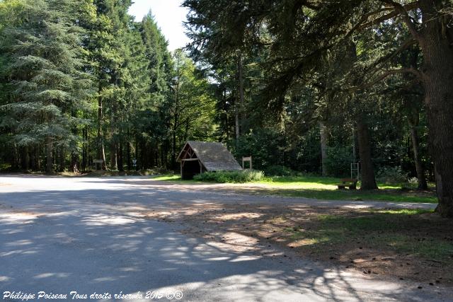 Forêt des Bertranges