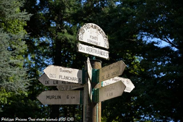 rond point de la forêt des Bertranges