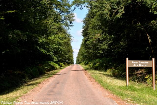 Forêt des Bertranges