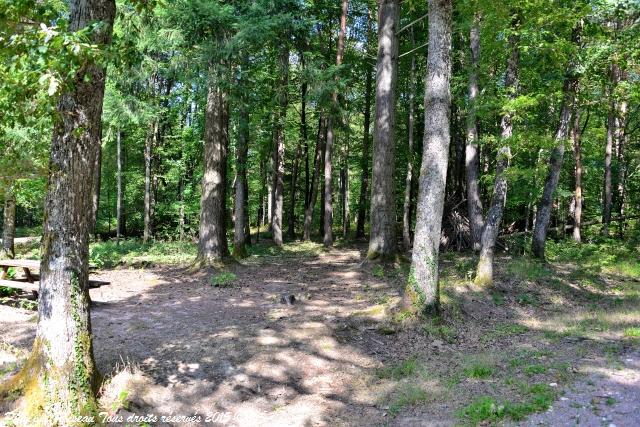 Forêt des Bertranges