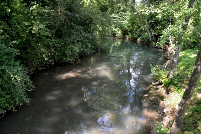 Pont Forgebas