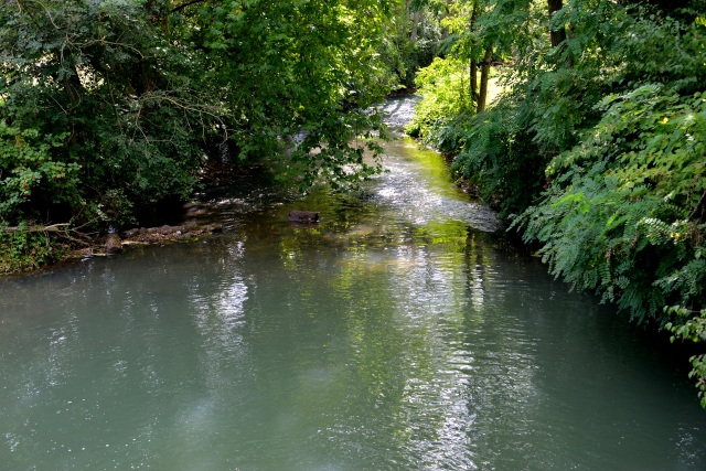 Pont Forgebas