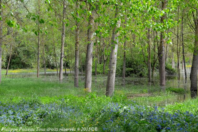 Jardin de Forgeneuve