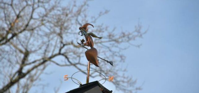 Girouette sorcière de Boutenot