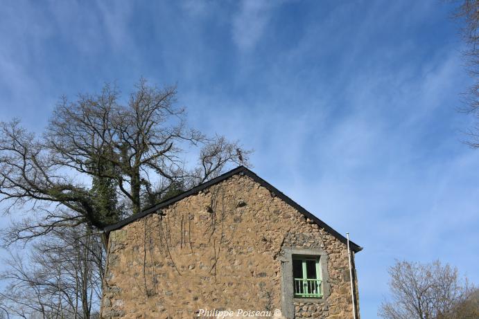 Girouette sorcière de Boutenot