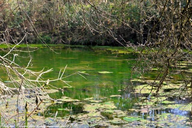 Gour des Fontaines de Sougy Sur Loire Nièvre Passion