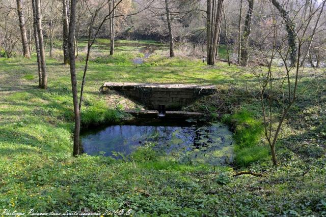 Gour des Fontaines de Sougy Sur Loire Nièvre Passion