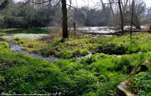 Gour des Fontaines de Sougy Sur Loire Nièvre Passion