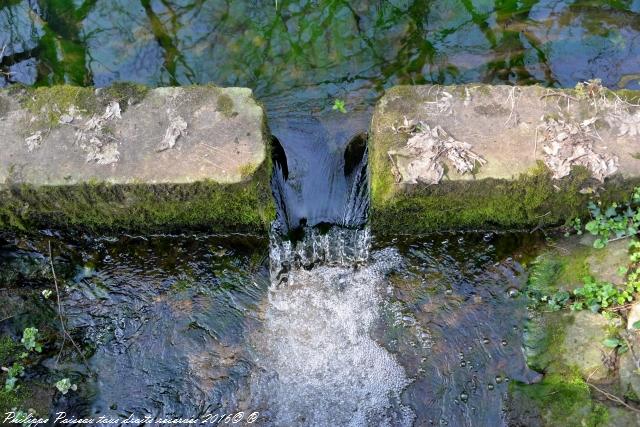 Gour des Fontaines de Sougy Sur Loire Nièvre Passion