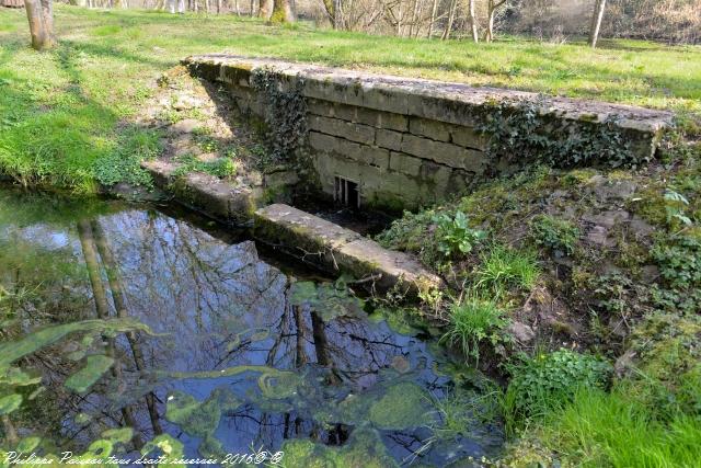 Gour des Fontaines de Sougy Sur Loire Nièvre Passion