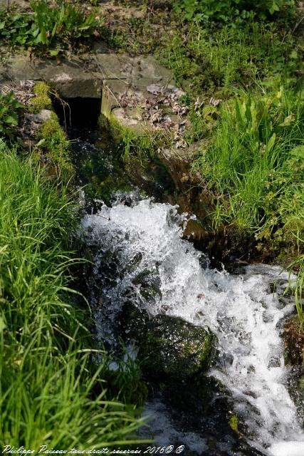 Gour des Fontaines de Sougy Sur Loire Nièvre Passion