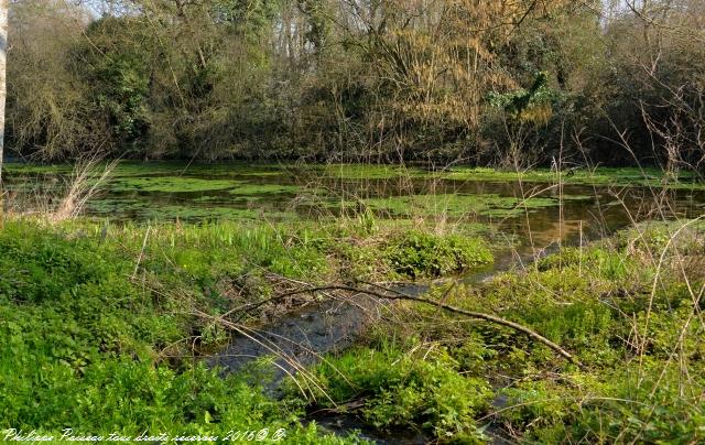 Gour des Fontaines de Sougy Sur Loire Nièvre Passion