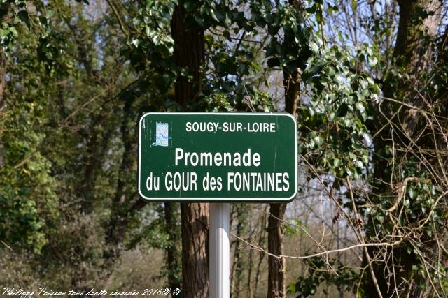 Gour des Fontaines de Sougy Sur Loire Nièvre Passion